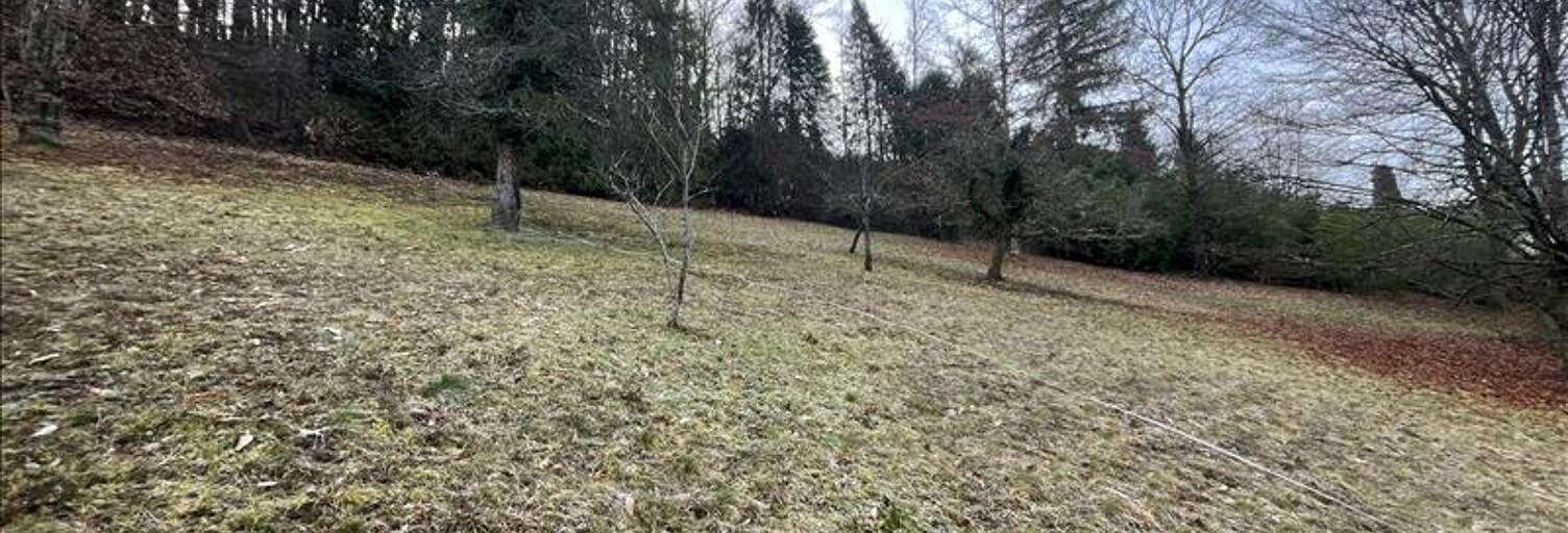 Terrain  2000 m² à vendre à Sainte-Fortunade (19490)