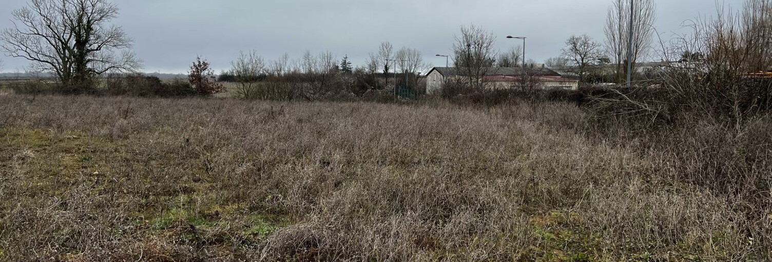 Commerce  5878 m² à vendre à Chevry-Cossigny (77173)