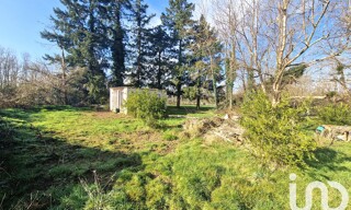 Photo N° 4