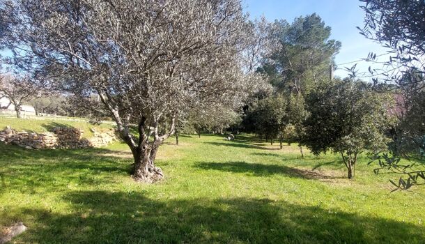 Terrain  à vendre Lorgues 83510