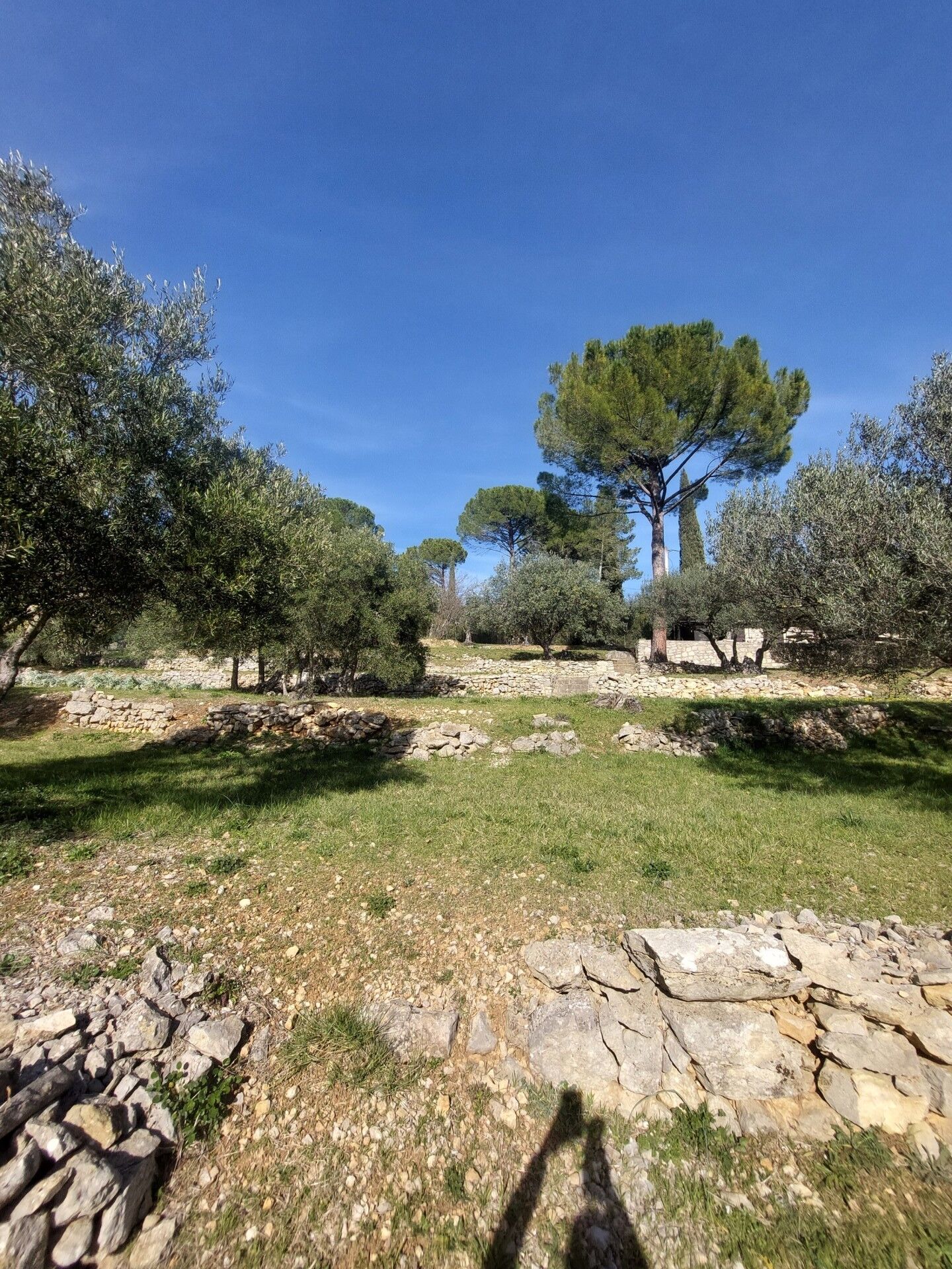 Terrain  à vendre Lorgues 83510
