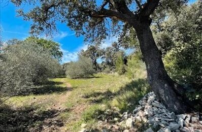 vente terrain 28 750 € à proximité de Souvignargues (30250)