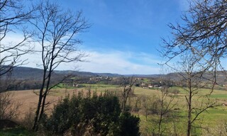 Photo N° 4