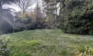 Photo N° 4