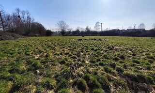 Photo N° 4