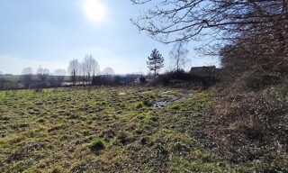 Photo N° 4