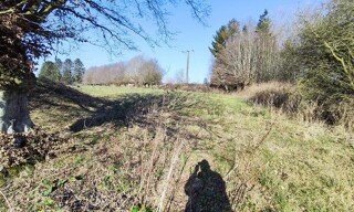 Photo N° 5