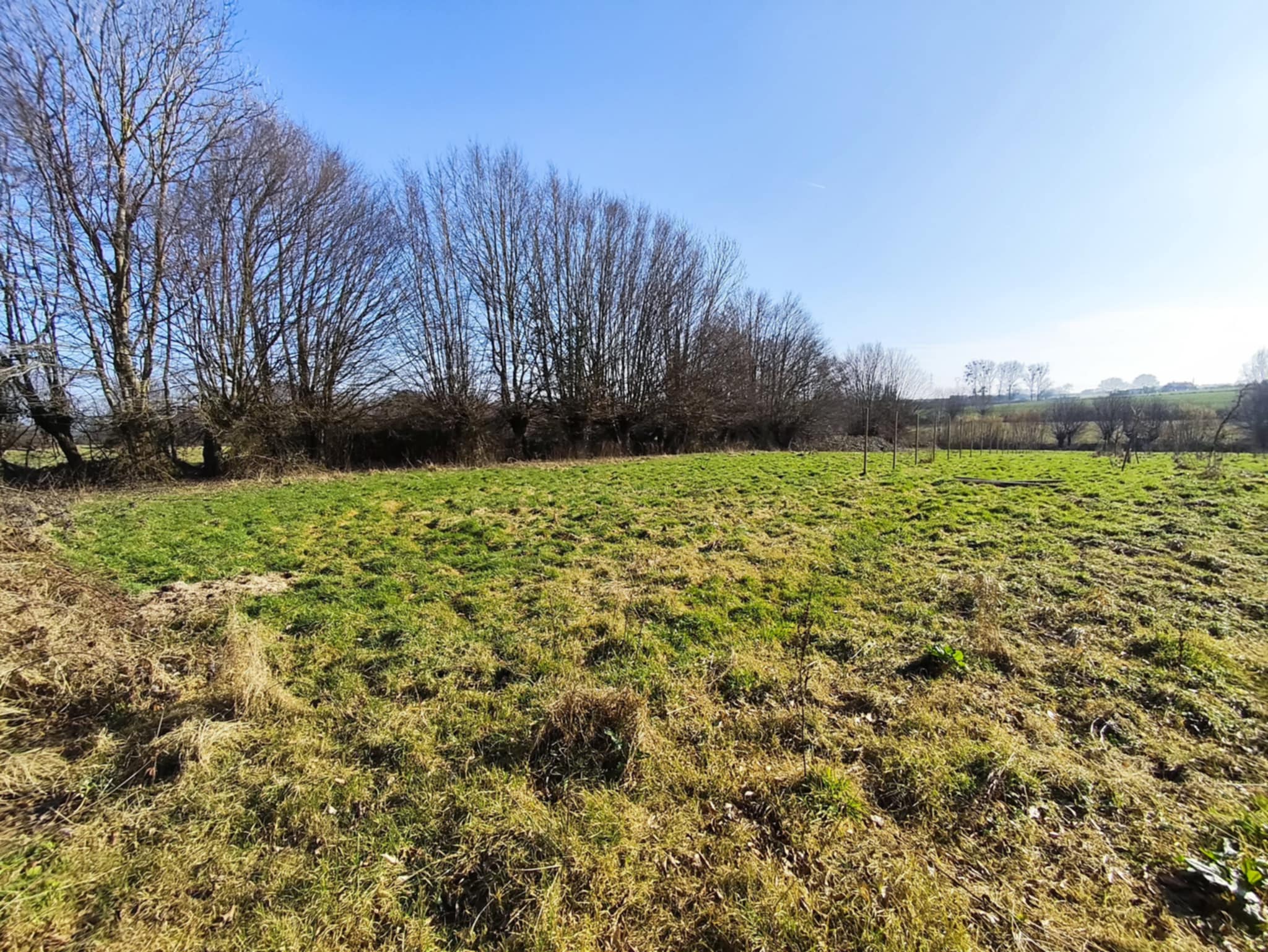 Agence immobilière de DLC FRANCE IMMO