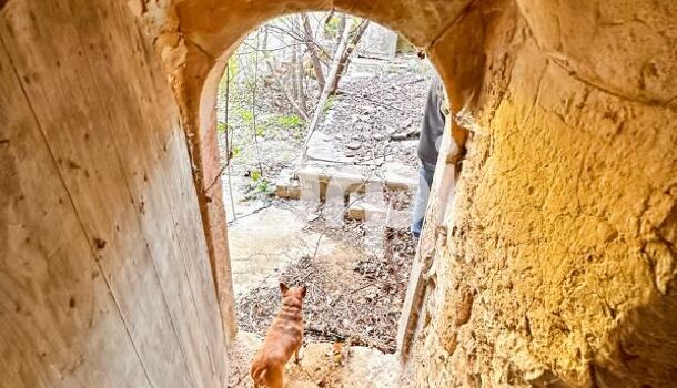 Villa / Maison 1 pièces  à vendre Allègre-les-Fumades 30500