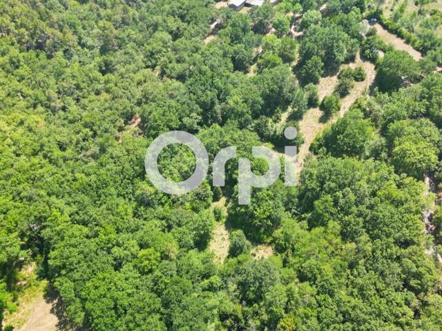 Bâtisse de 1800 sur plus de 2,8 hectares – Allègre-les-Fumades — photo du bien