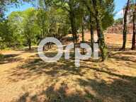 Bâtisse de 1800 sur plus de 2,8 hectares – Allègre-les-Fumades — photo 4