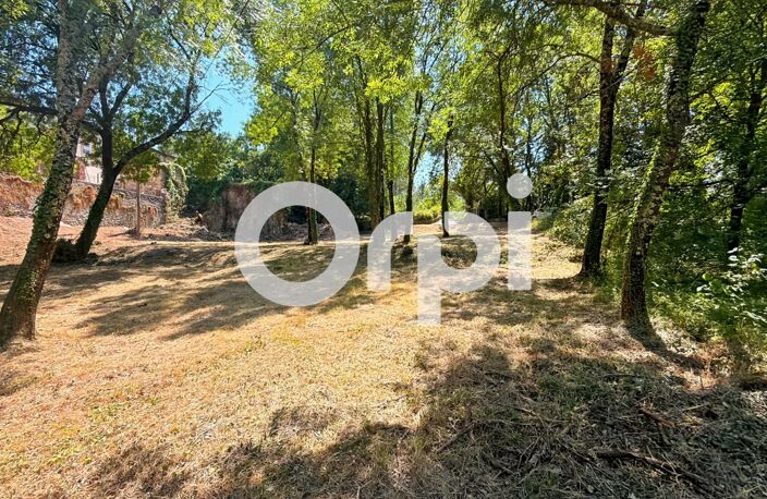 Bâtisse de 1800 sur plus de 2,8 hectares – Allègre-les-Fumades — photo 5