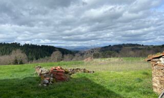 Photo N° 4