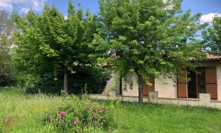Photo N° 5