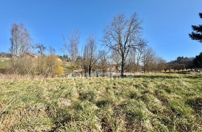 vente terrain 35 000 € à proximité de Balbigny (42510)