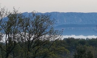 Photo N° 4