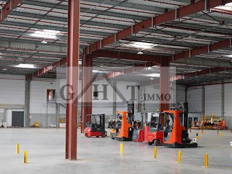 A LOUER GRETZ ARMAINVILLIERS  ENTREPOTDE 12 000 M² — photo 1