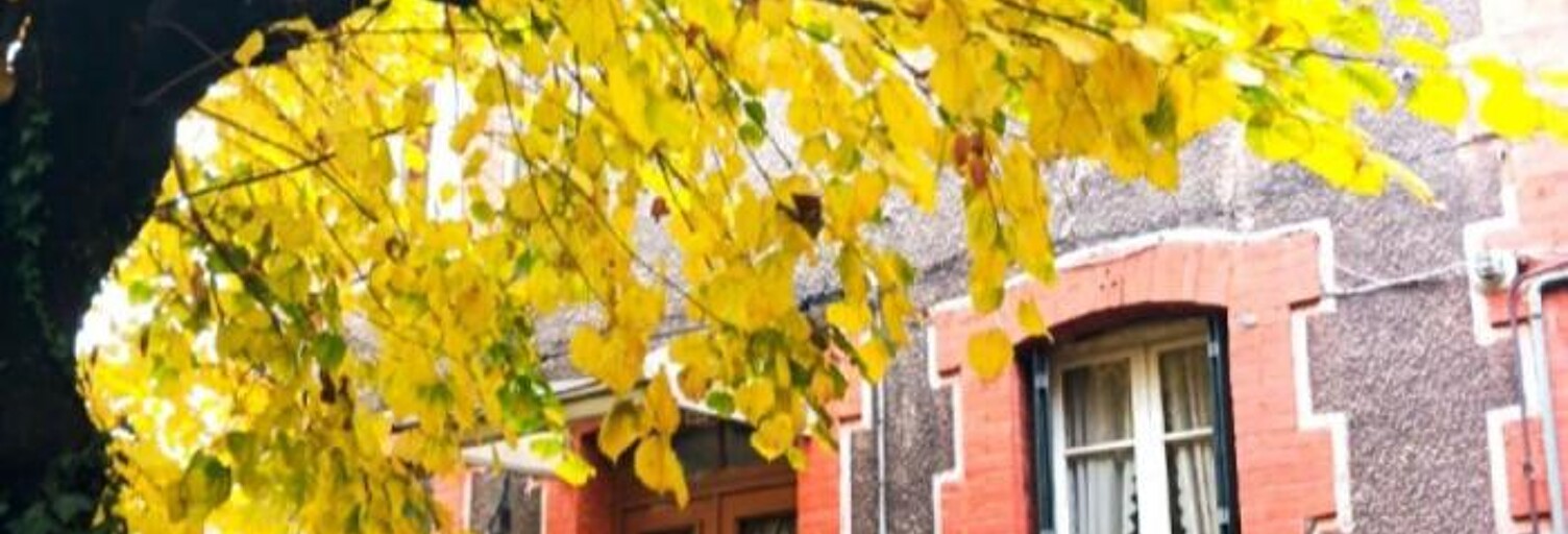 Immeuble   m² à vendre à Firminy (42700)