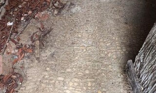 Photo N° 4