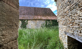 Photo N° 8