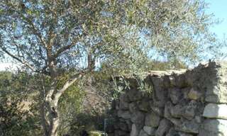 Terrain  6270 m² à vendre à Saint-Pons-de-Mauchiens (34230)