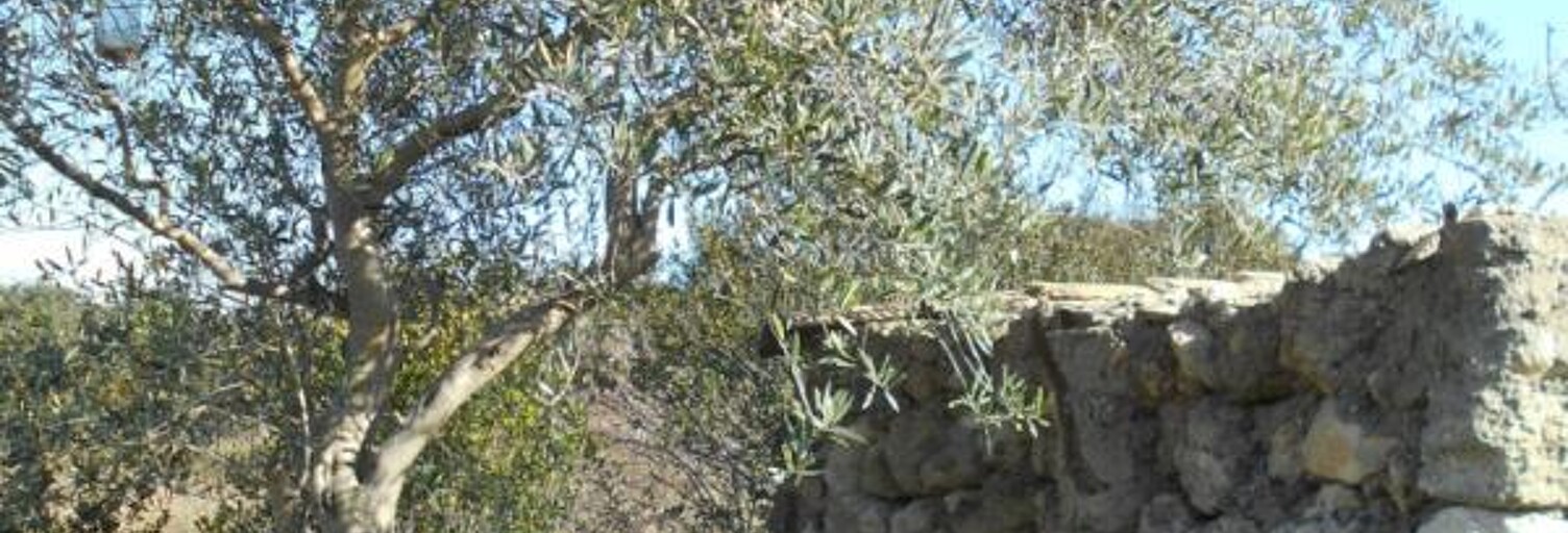 Terrain  6270 m² à vendre à Saint-Pons-de-Mauchiens (34230)