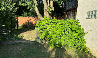Photo N° 6