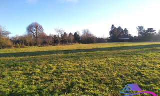 Terrain  9853 m² à vendre à La Châtre (36400)