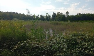Photo N° 4