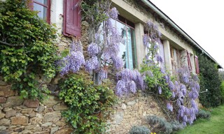 Photo N° 3