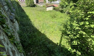 Photo N° 5