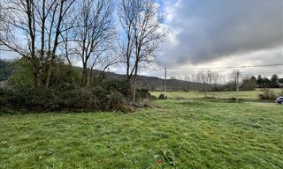 Photo N° 4