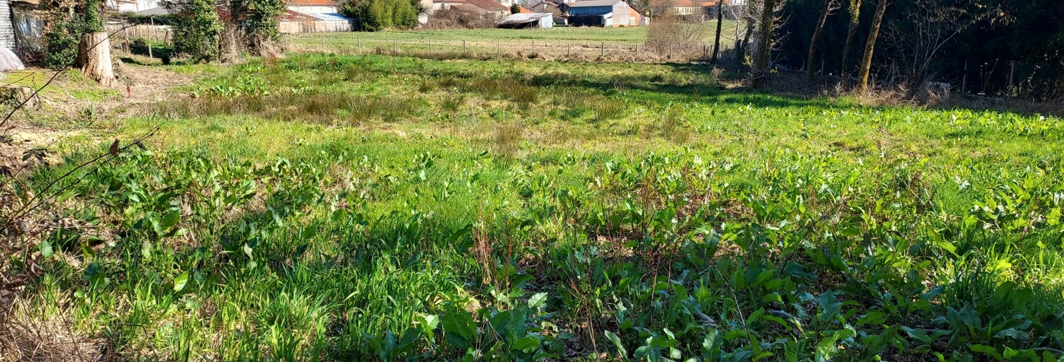Terrain  1469 m² à vendre à Terres-de-Haute-Charente (16270)