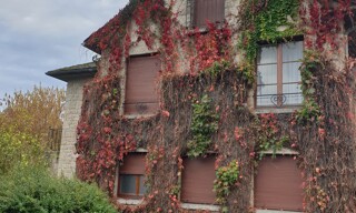 Photo N° 4