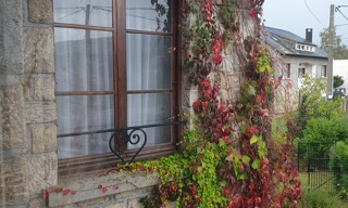 Photo N° 5