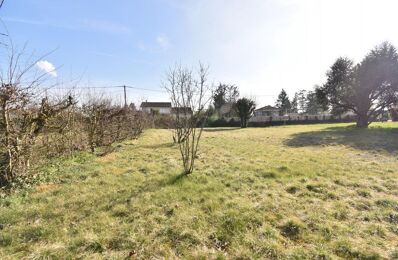 vente terrain 169 000 € à proximité de Saint-Jean-de-Niost (01800)