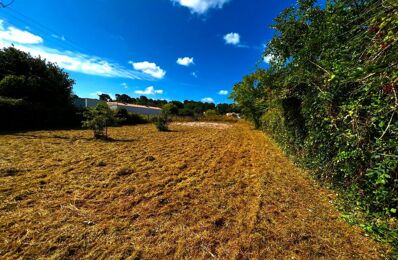 terrain  pièces 1116 m2 à vendre à Saint-Augustin (17570)