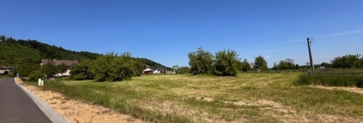 Terrain  1495 m² à vendre à Brandeville (55150)