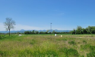 Photo N° 3