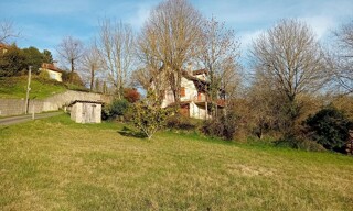 Photo N° 15
