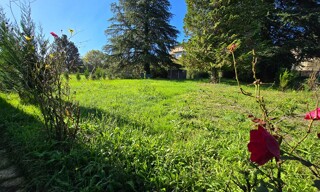 Photo N° 15