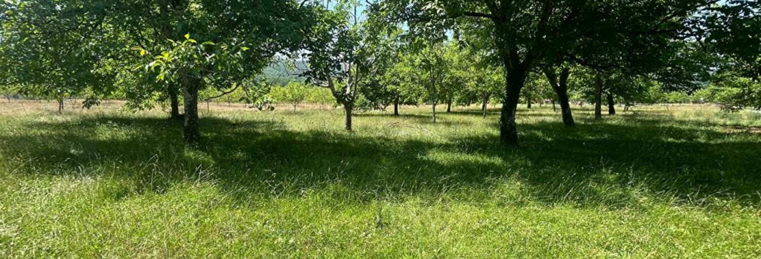 Terrain  4264 m² à vendre à Sergeac (24290)