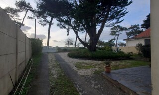 Photo N° 3