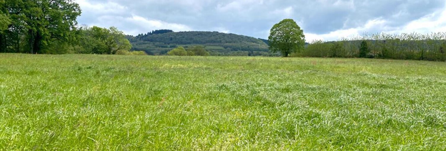 Terrain  5303 m² à vendre à Saint-Amour (39160)