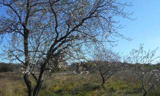 Maison  2300 m² à vendre à Saint-Pons-de-Mauchiens (34230)