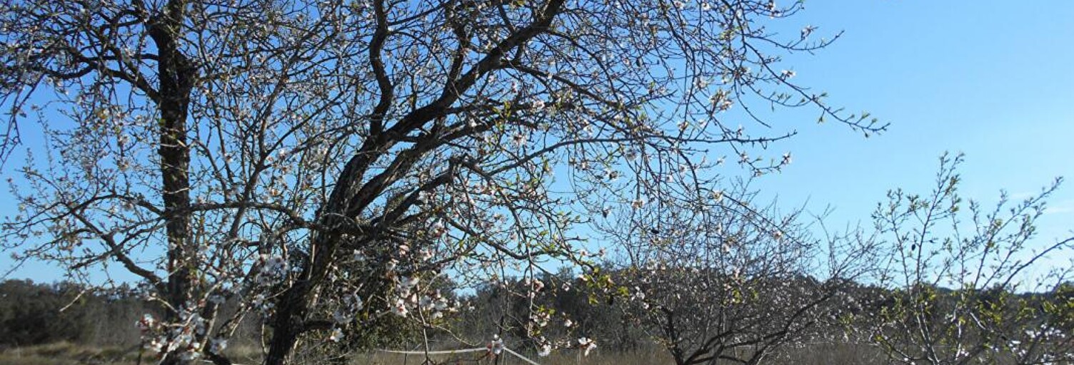 Maison  2300 m² à vendre à Saint-Pons-de-Mauchiens (34230)