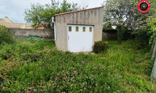 Photo N° 2