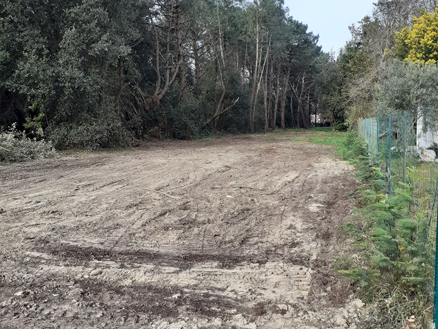 Terrain  à vendre Grand-Village-Plage (Le) 17370