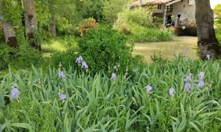 Photo N° 4