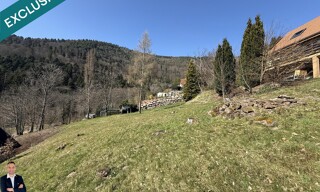 Photo N° 4